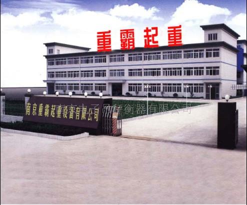 南京電子吊秤衡器有限公司