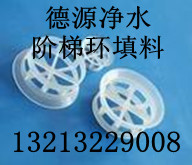 阶梯环填料，贵州阶梯环填料价格，阶梯环填料简介
