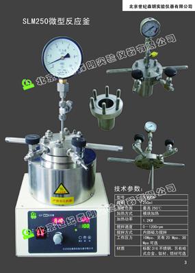 供應(yīng)SLM250小型高壓反應(yīng)釜
