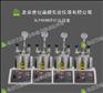 供應(yīng)SLP4100雙位平行反應(yīng)器