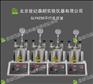 供應(yīng)SLP4250多釜組合反應(yīng)釜