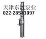 供应景用喷泉泵&立式喷泉泵&卧式喷泉泵&东坡泵业齐全