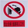 顺盛