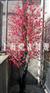 供应仿真樱花树/上海仿真樱花树/仿真樱花树