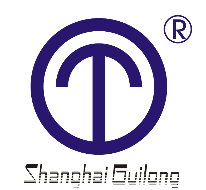 上海貴龍閥門有限公司廣東分公司Logo