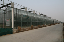 大连泰林农业设施有限公司