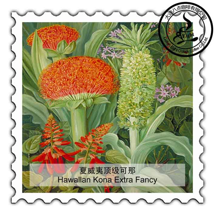 牙买加蓝山咖啡豆