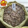 青枫种子