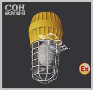 防爆无极灯  BAD83  防爆照明灯