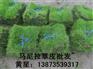 长沙草坪-株洲草坪-衡阳草坪