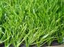 广东人造草坪，广州草皮，足球场草坪