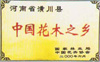 河南广玉兰绿化苗木花木基地Logo