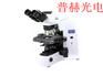 供应奥林巴斯双目显微镜BX51