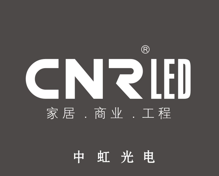 中虹光电照明有限公司Logo