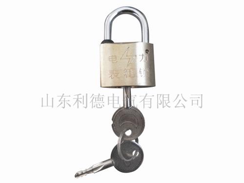 山东利德电气有限公司