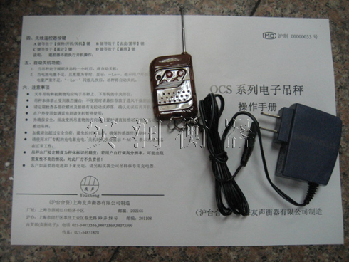 电子吊秤-电子吊秤价格-电子钩秤