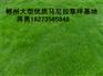 供应马尼拉草坪基地（湖南马尼拉草皮）郴州马尼拉草坪直销