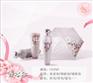 女士hold住的礼品伞 香水伞 广告雨伞