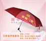 自动伞 自开收雨伞广告伞订做