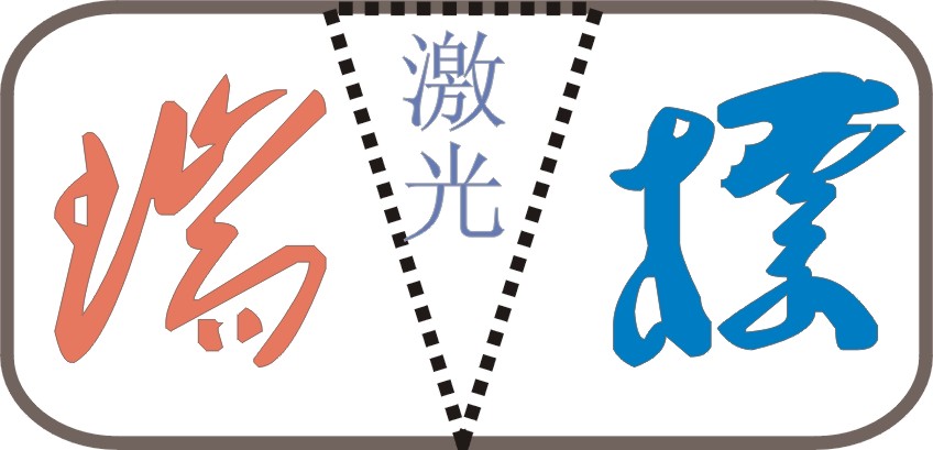 济南瑞标光电技术有限公司Logo