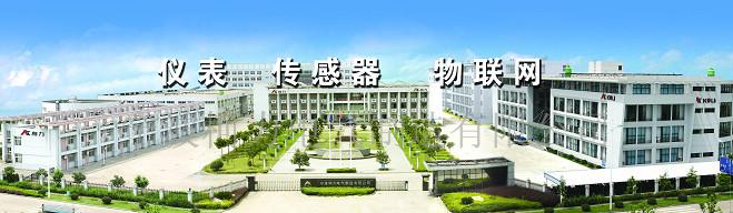 宁波柯力电气制造有限公司