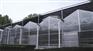 贵州大棚,贵州温室,贵州温室大棚