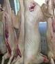 供应山东冻品狗肉 ,狗脚厂家价格
