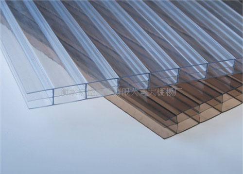阳光板温室大棚建设公司