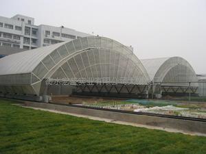 阳光板温室大棚建设公司