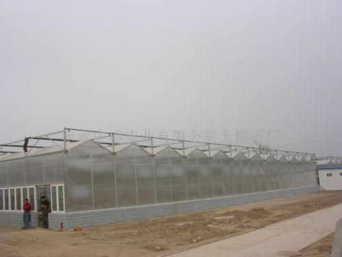 阳光板建蔬菜大棚“pc板建蔬菜大棚”