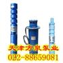 热水潜水泵￥高温热水泵￥温泉热水泵￥池用热水泵￥天津热水泵