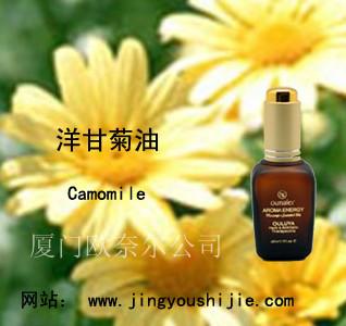 “洋甘菊精油”“洋甘菊精油的作用”“欧路雅洋甘菊精油”