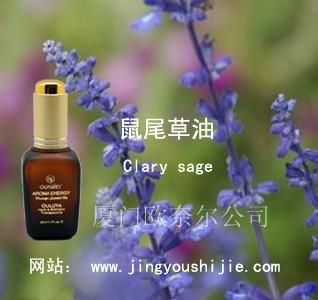 “鼠尾草精油的作用”“快乐鼠尾草精油”“欧路雅鼠尾草精油”