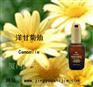 “洋甘菊精油”“洋甘菊精油的作用”“欧路雅洋甘菊精油”