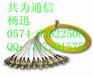 共为-12芯FC（束状尾纤）12芯SC束状尾纤12芯带状尾纤