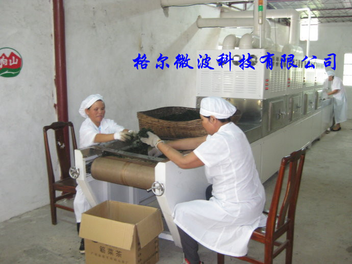 茶叶杀青烘干设备  茶叶杀青设备  茶叶烘干设备  茶叶烘干机