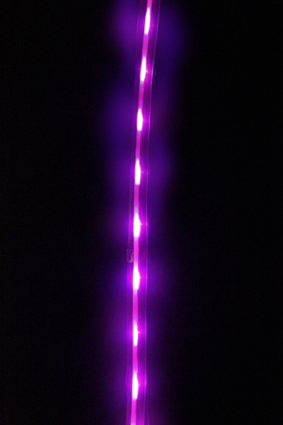 led宠物项圈专业灯带灯条  发光灯条灯带  led灯条  led灯带