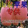 2011年山东红富士苹果价格走势图/市场分析行情/预测