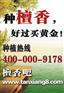 供应广东佛山檀香苗檀香树苗檀香种子