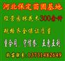 供应河北苗木、河北苗木价格、河北苗木基地、河北苗木出售