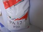 PA12 P20