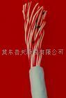 铜芯实心聚烯烴绝缘双面涂塑铝带屏蔽聚乙烯护套自承式市内通信电  唐山通信电话线  冀东信号电缆  南昌控制电缆