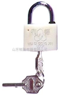 30感应铜挂锁,35 感应铜挂锁,40感应铜挂锁,各种表箱锁 塑钢锁