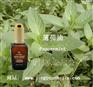 “薄荷精油的作用”“薄荷精油怎么用”“欧路雅薄荷精油”