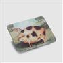 Decorative FurnitureUVPrinters