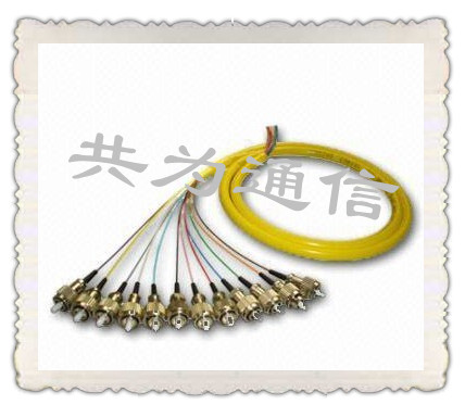 12芯FC/SC(PC/UPC/APC)束状/带状尾纤，报价  FC束状尾纤  SC束状尾纤  12芯束状尾纤