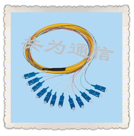 12芯FC/SC(PC/UPC/APC)束状/带状尾纤，报价  FC束状尾纤  SC束状尾纤  12芯束状尾纤