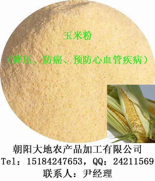 玉米粉，脱脂玉米粉，脱皮玉米  玉米面