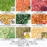 脱水蔬菜