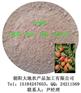供应：山楂粉（100%纯天然山楂粉）